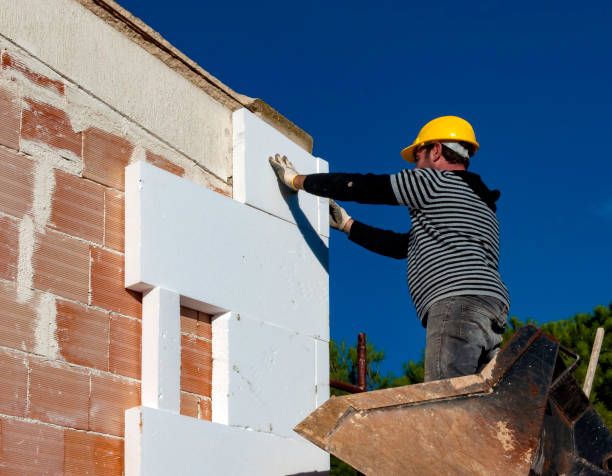 Best Best Insulation Companies  in Nneconne, WI