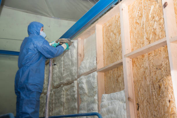 Best Garage Insulation Installation  in Nneconne, WI