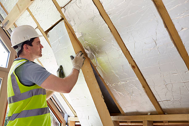 Best Insulation Removal  in Nneconne, WI